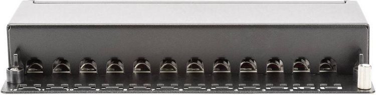 Produktbild: Digitus DN-91612SD-EA 12 Port Netzwerk-Patchbox CAT 6a 1 HE Schwarz (RAL 9005) Best&uuml;ckt