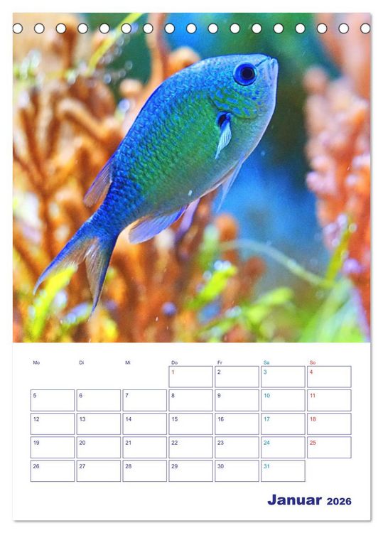 Produktbild: Bunte Meereswelten (Tischkalender 2026 DIN A5 hoch), CALVENDO Monatskalender
