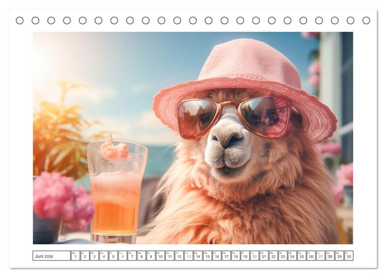 Produktbild: Die Welt der Alpakas (Tischkalender 2026 DIN A5 quer), CALVENDO Monatskalender