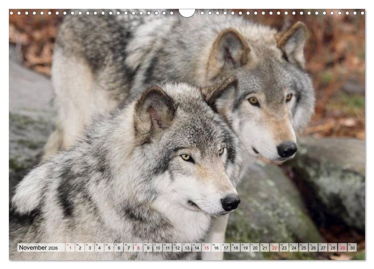 Produktbild: Alaska und Kanada (Wandkalender 2026 DIN A3 quer), CALVENDO Monatskalender