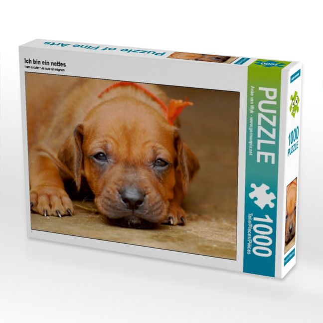 Produktbild: CALVENDO Puzzle Ich bin ein nettes | 1000 Teile Lege-Gr&ouml;&szlig;e 64x48cm Foto-Puzzle f&uuml;r gl&uuml;ckliche Stunden