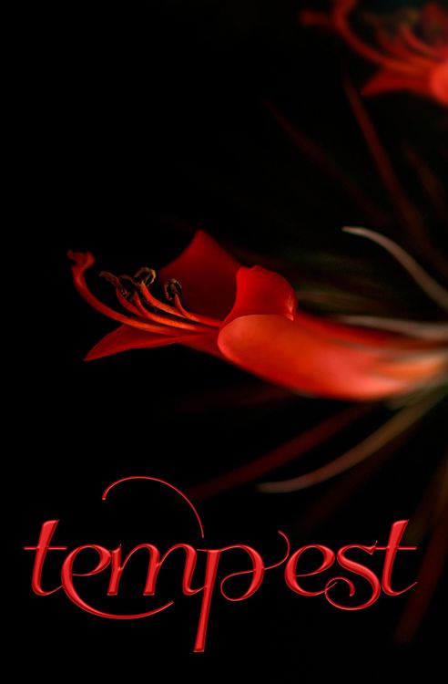 Produktbild: Tempest (Romance, #2)