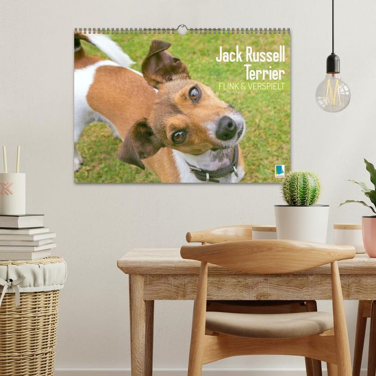 Produktbild: Jack Russell Terrier: flink und verspielt (Wandkalender 2026 DIN A3 quer), CALVENDO Monatskalender