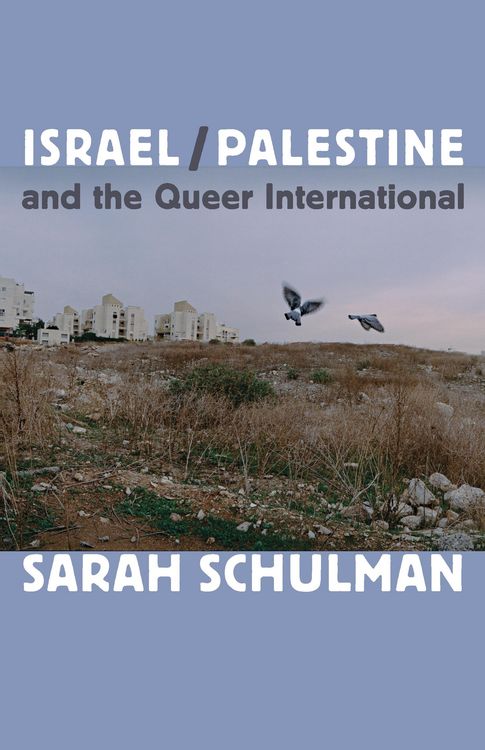 Produktbild: Israel/Palestine and the Queer International