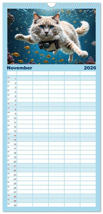 Produktbild: Familienplaner 2026 - Katzen unter Wasser mit 5 Spalten (Wandkalender, 21 x 45 cm) CALVENDO