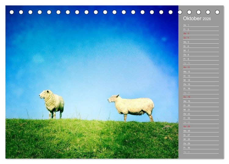 Produktbild: AUF DEM DEICH (Tischkalender 2026 DIN A5 quer), CALVENDO Monatskalender