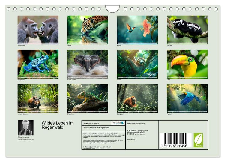 Produktbild: Wildes Leben im Regenwald (Wandkalender 2026 DIN A4 quer), CALVENDO Monatskalender