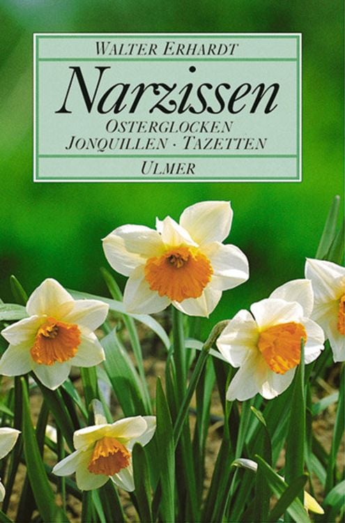 Produktbild: Narzissen