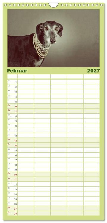 Produktbild: Familienplaner 2027 - Der Windhundekalender mit 5 Spalten (Wandkalender, 21 x 45 cm) CALVENDO