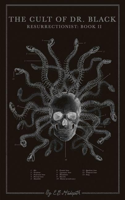 Produktbild: The Cult of Dr. Black