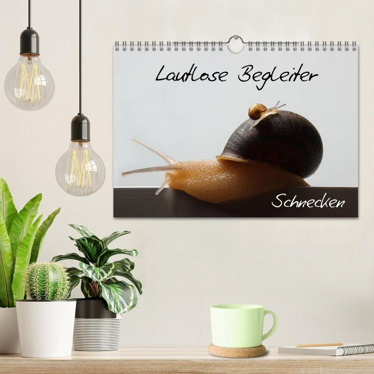 Produktbild: Lautlose Begleiter - Schnecken (Wandkalender 2026 DIN A4 quer), CALVENDO Monatskalender
