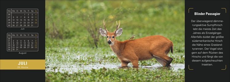Produktbild: Naturparadiese Premium-Tischplaner 2027 - Wochenkalender mit 53 Fotografien