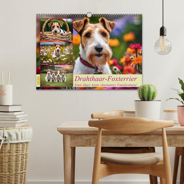 Produktbild: Drahthaar-Foxterrier (Wandkalender 2026 DIN A3 quer), CALVENDO Monatskalender