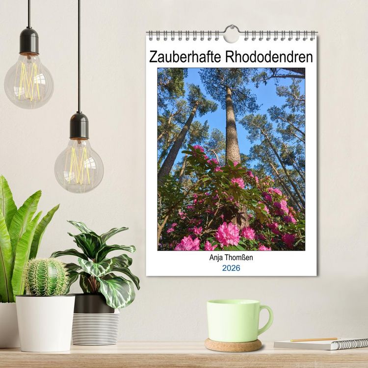 Produktbild: Zauberhafte Rhododendren (Wandkalender 2026 DIN A4 hoch), CALVENDO Monatskalender