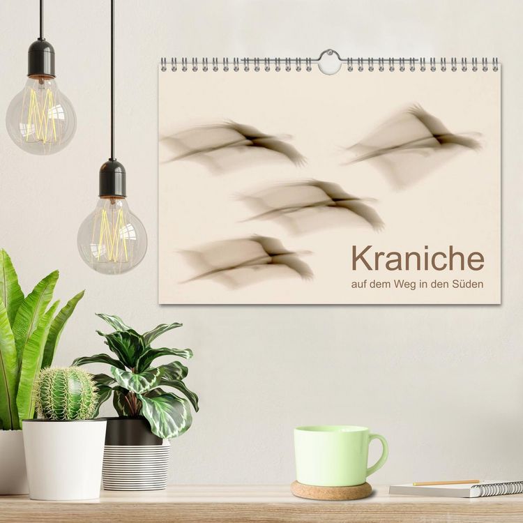 Produktbild: Kraniche auf dem Weg nach S&uuml;den (Wandkalender 2026 DIN A4 quer), CALVENDO Monatskalender