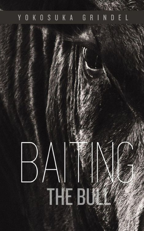 Produktbild: Baiting the Bull