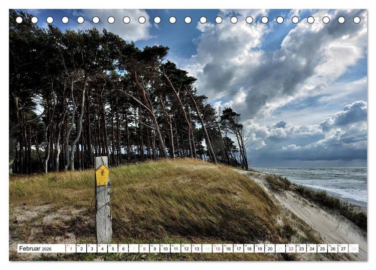 Produktbild: Naturschauspiel Dar&szlig;er Weststrand (Tischkalender 2026 DIN A5 quer), CALVENDO Monatskalender