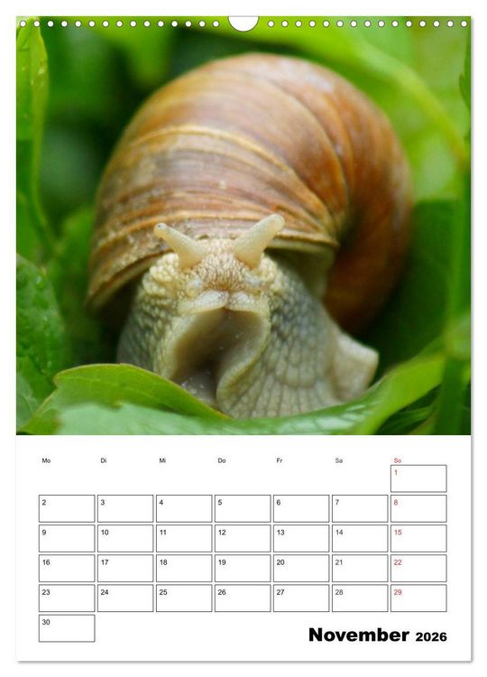 Produktbild: Heimische Wildtiere Terminplaner (Wandkalender 2026 DIN A3 hoch), CALVENDO Monatskalender