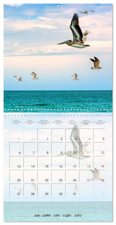 Produktbild: Floride &ndash; D&eacute;couvertes dans l'&Eacute;tat du soleil (Calendrier mural carr&eacute; 2026 30x30 cm) Calendrier double avec une page pour vos prises de notes