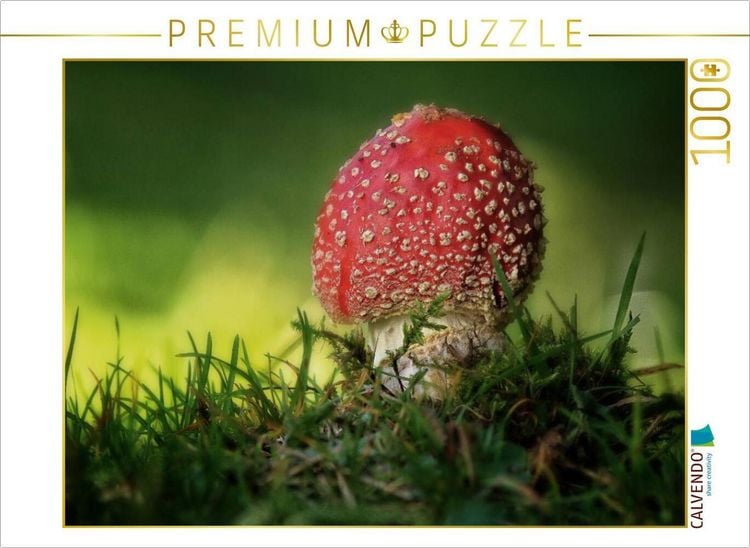Produktbild: CALVENDO Puzzle Ein Motiv aus dem Kalender Pilze, die stillen Waldbewohner 2019 | 1000 Teile Lege-Gr&ouml;&szlig;e 64x48cm Foto-Puzzle f&uuml;r gl&uuml;ckliche Stunden