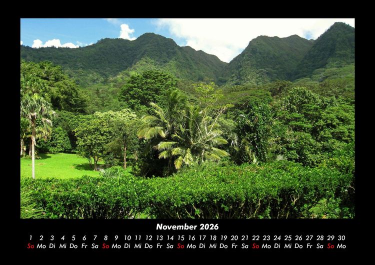 Produktbild: Blumen & Pflanzen 2026 Fotokalender DIN A3