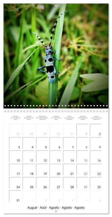 Produktbild: Blt, S: Esp&egrave;ces de Nouvelle Aquitaine (Calendrier mural carr