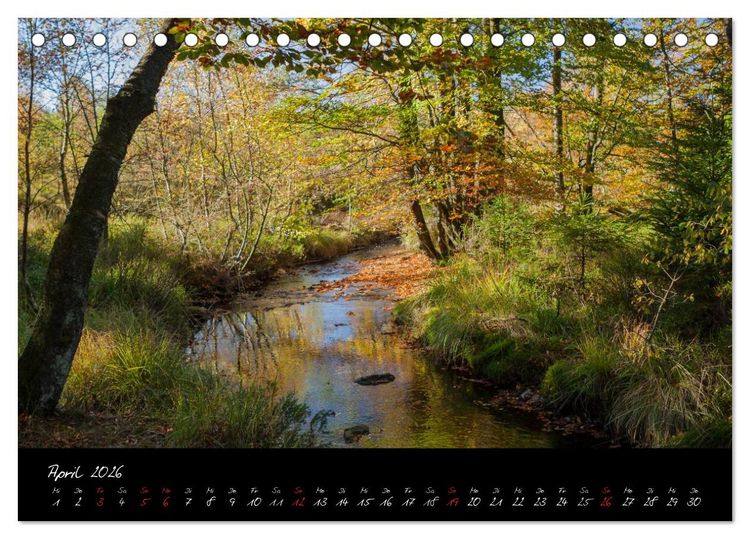 Produktbild: Hochmoor Hohes Venn (Tischkalender 2026 DIN A5 quer), CALVENDO Monatskalender