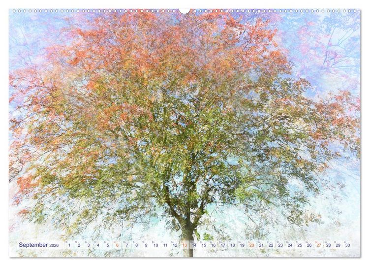 Produktbild: Vielfalt der B&auml;ume - variety of trees (hochwertiger Premium Wandkalender 2026 DIN A2 quer), Kunstdruck in Hochglanz