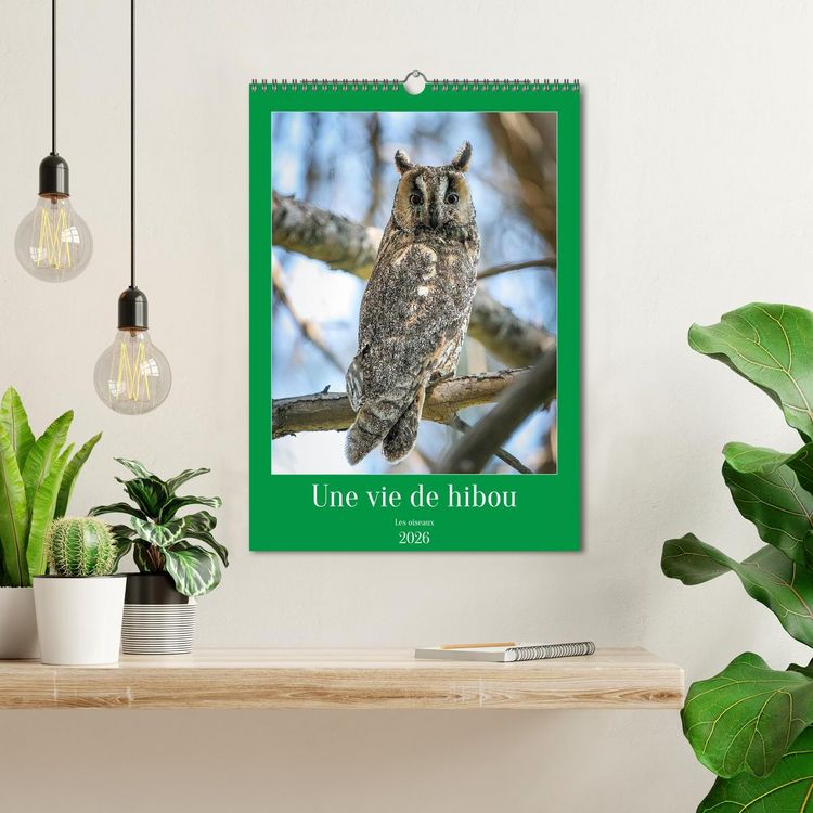 Produktbild: Une vie de hibou les oiseaux (Calendrier mural 2026 DIN A3 horizontal), CALVENDO calendrier mensuel
