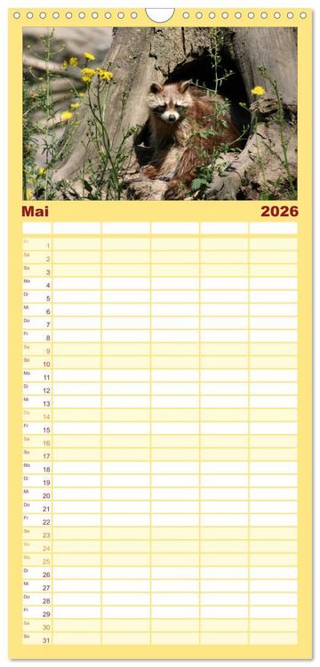 Produktbild: Familienplaner 2026 - Waschb&auml;ren mit 5 Spalten (Wandkalender, 21 x 45 cm) CALVENDO