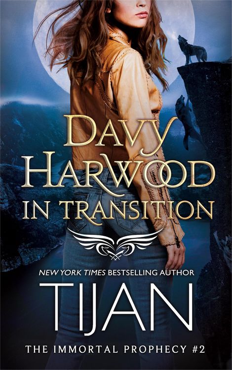 Produktbild: Davy Harwood in Transition (Davy Harwood Series, #2)