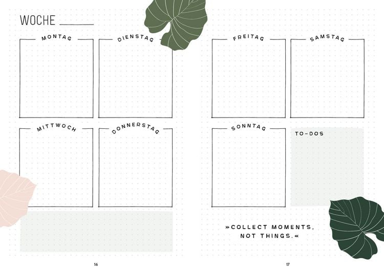 Produktbild: Mein Bullet Journal (Jungle Edition) &ndash; Besser planen & Tr&auml;ume verwirklichen