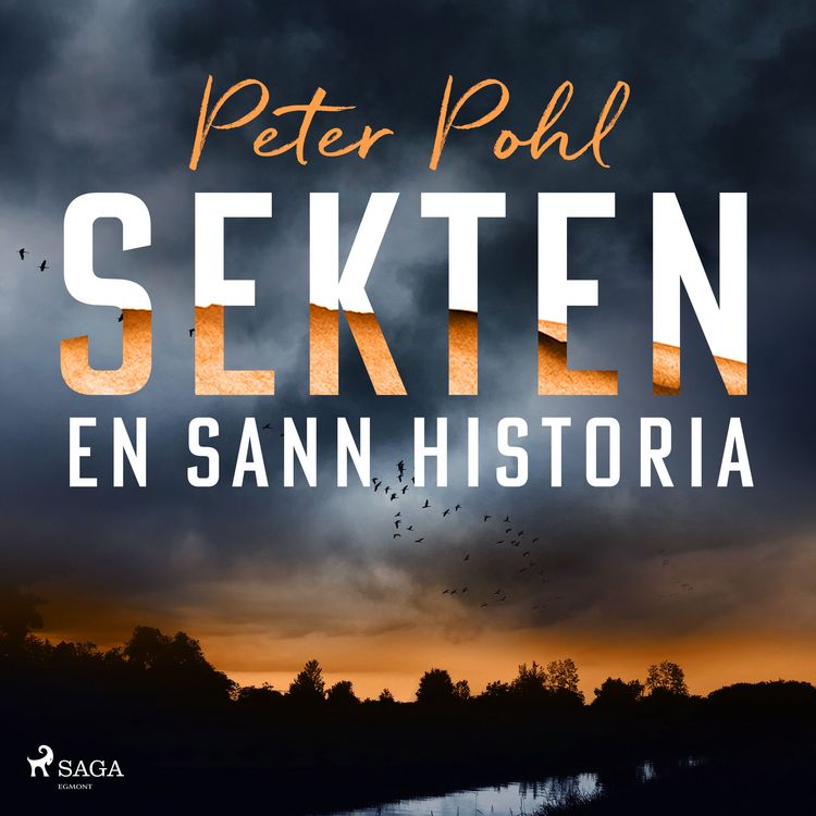Produktbild: Sekten: en sann historia