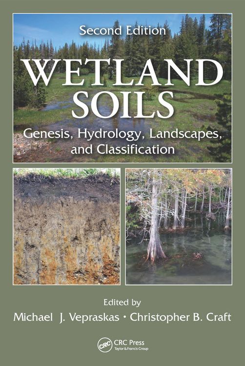 Produktbild: Wetland Soils