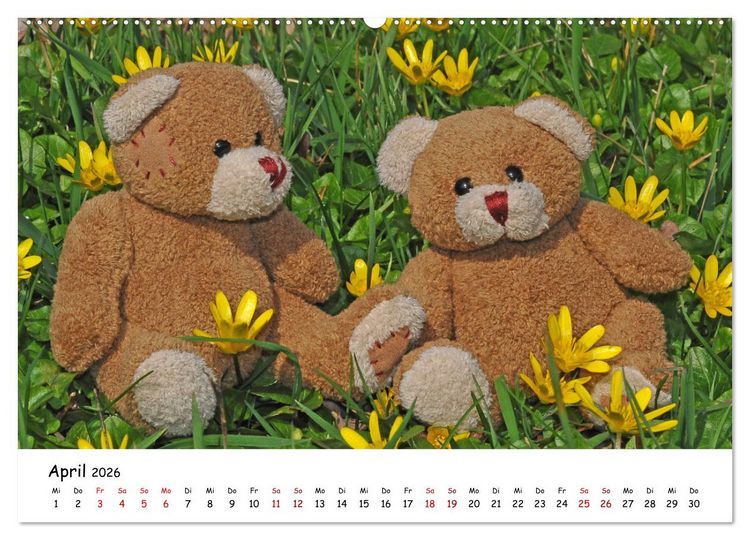 Produktbild: Allerliebste Teddyb&auml;ren (hochwertiger Premium Wandkalender 2026 DIN A2 quer), Kunstdruck in Hochglanz