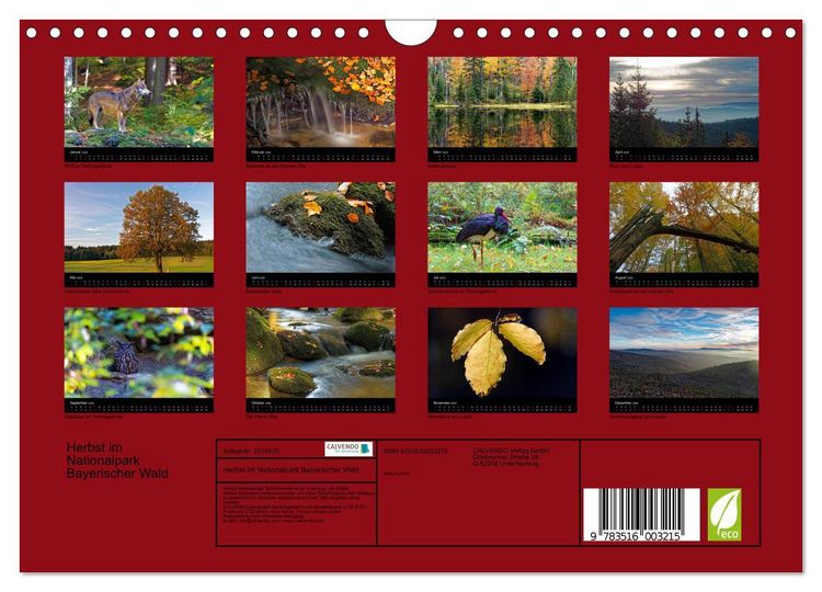 Produktbild: Herbst im Nationalpark Bayerischer Wald (Wandkalender 2026 DIN A4 quer), CALVENDO Monatskalender