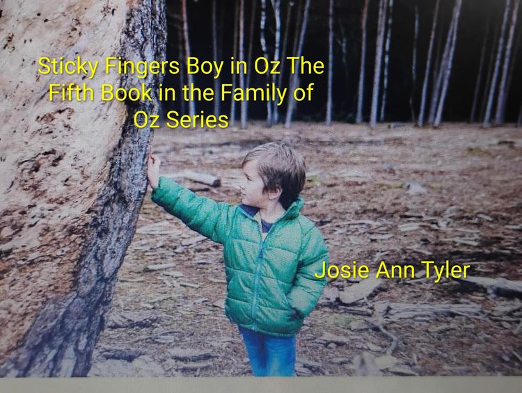 Produktbild: Sticky Fingers Boy in Oz (Family of Oz series, #5)