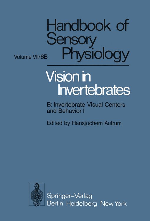 Produktbild: Comparative Physiology and Evolution of Vision in Invertebrates