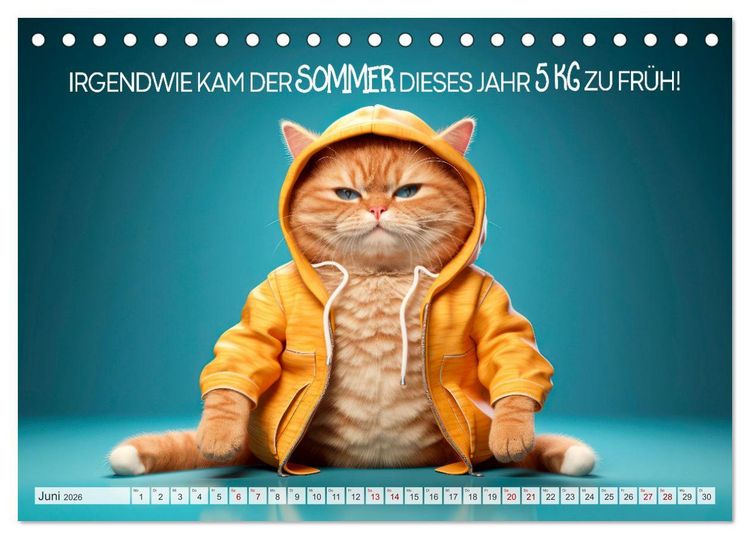 Produktbild: KATZEN-IRONIE Lach mal wieder (Tischkalender 2026 DIN A5 quer), CALVENDO Monatskalender