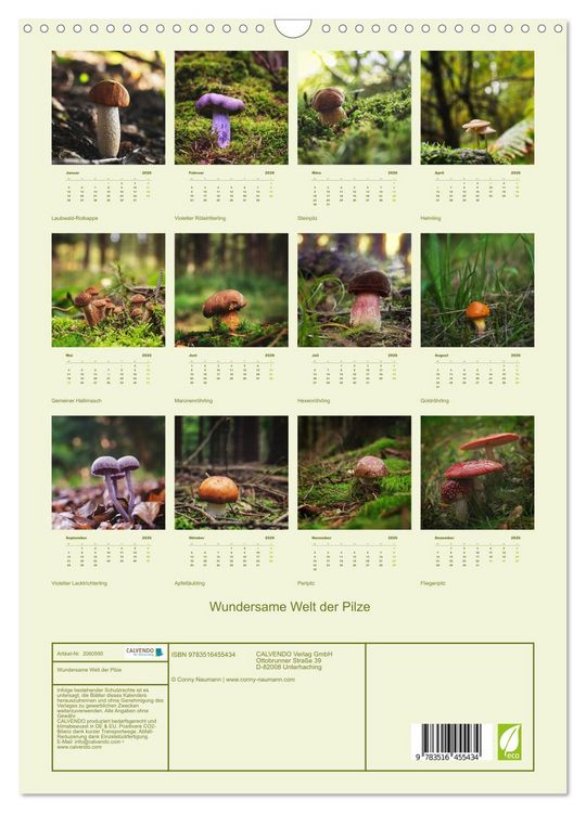 Produktbild: Wundersame Welt der Pilze (Wandkalender 2026 DIN A3 hoch), CALVENDO Monatskalender