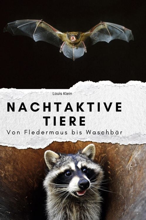 Produktbild: Nachtaktive Tiere