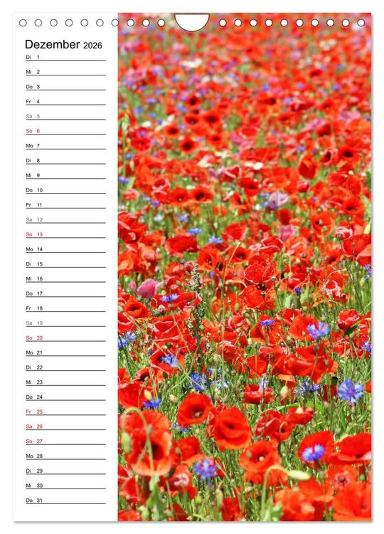 Produktbild: Mohn, zarte Bl&uuml;ten, starke Farben, der Geburtstagskalender (Wandkalender 2026 DIN A4 hoch), CALVENDO Monatskalender