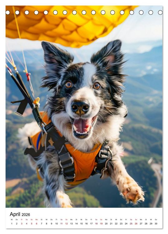 Produktbild: Hunde haben Spa&szlig; (Tischkalender 2026 DIN A5 hoch), CALVENDO Monatskalender