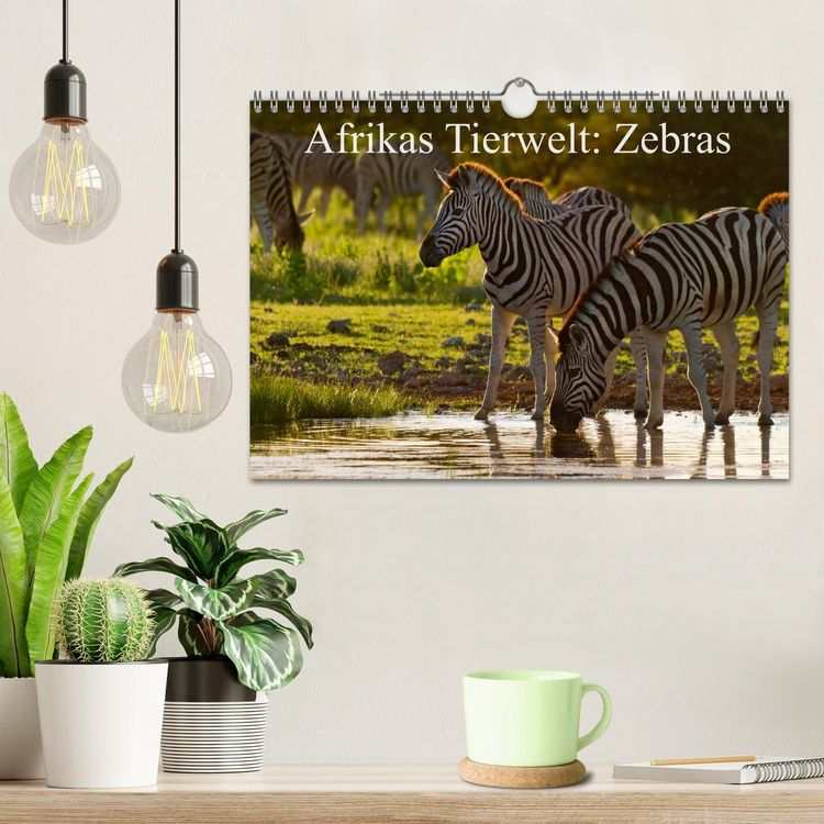 Produktbild: Afrikas Tierwelt: Zebras (Wandkalender 2026 DIN A4 quer), CALVENDO Monatskalender
