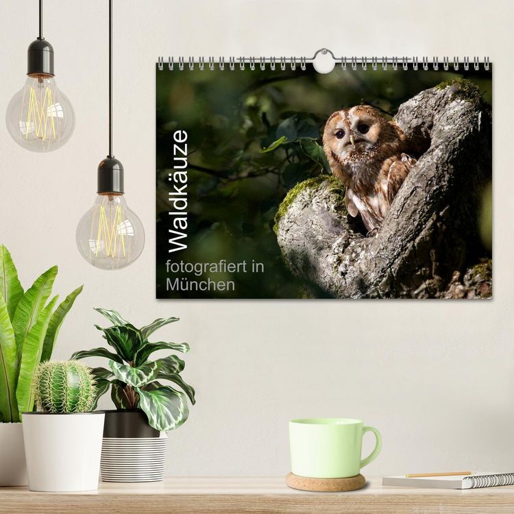 Produktbild: Waldk&auml;uze, fotografiert in M&uuml;nchen (Wandkalender 2026 DIN A4 quer), CALVENDO Monatskalender