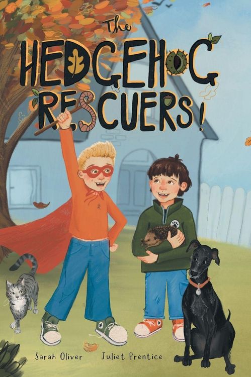 Produktbild: The Hedgehog Rescuers