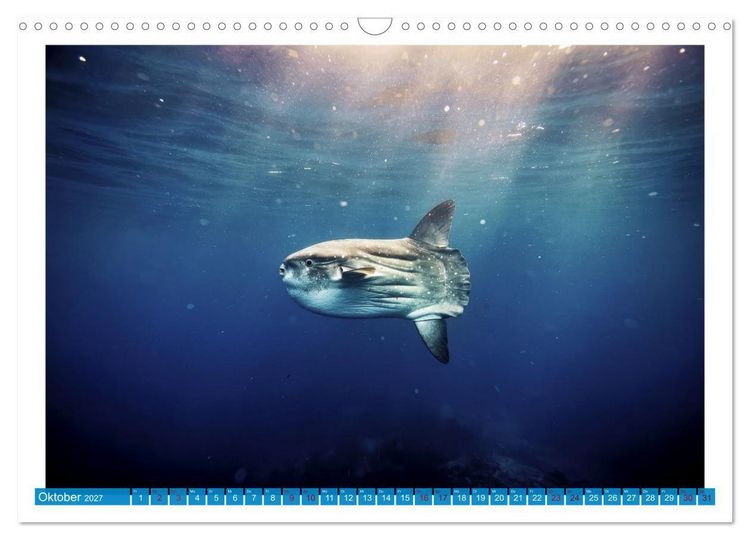 Produktbild: Knochen - und Mondfische (Wandkalender 2027 DIN A3 quer), CALVENDO Monatskalender
