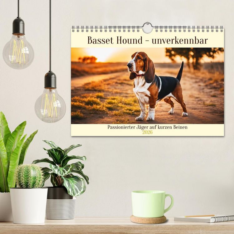 Produktbild: Basset Hound - unverkennbar (Wandkalender 2026 DIN A4 quer), CALVENDO Monatskalender