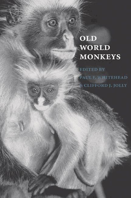 Produktbild: Old World Monkeys