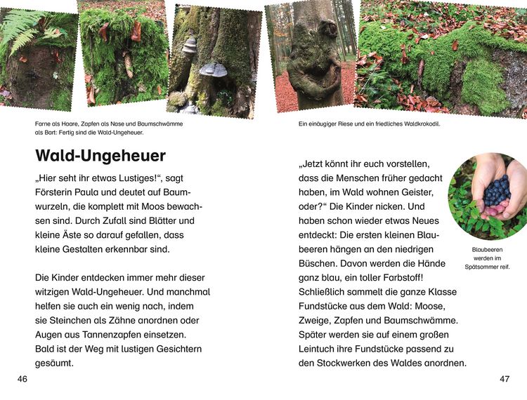 Produktbild: SUPERLESER! Klassenfahrt in den Wald